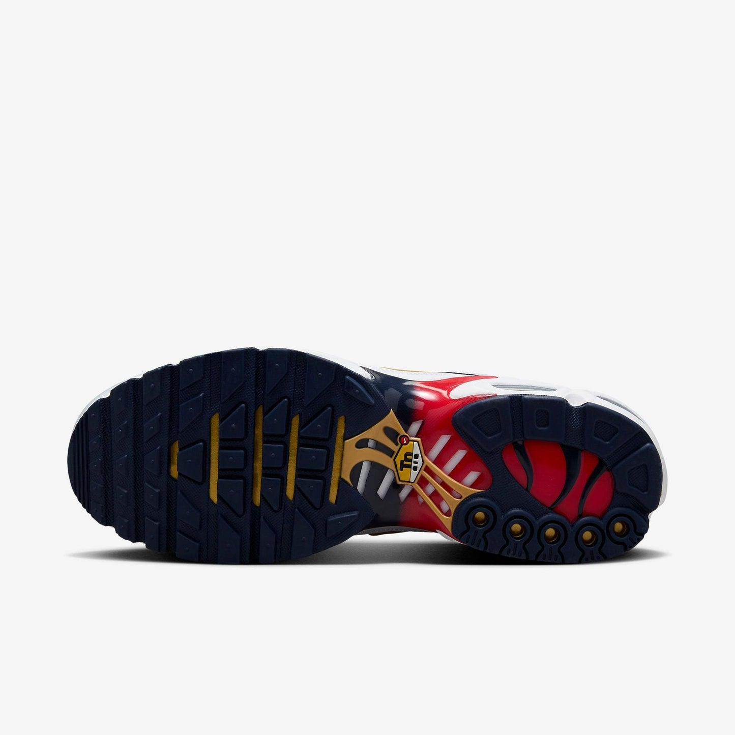 Nike Air Max Plus PSG
